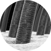 text-block-image-image_VNXtHa